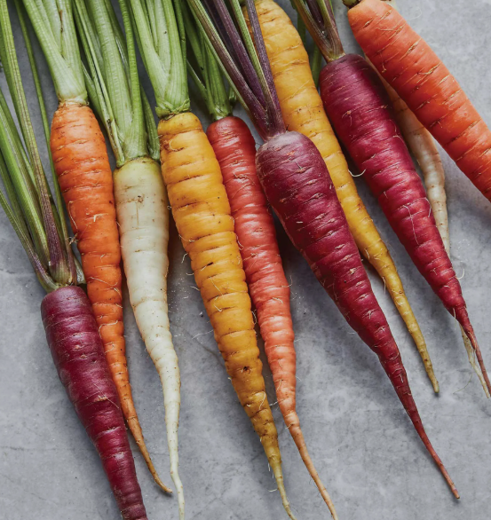 Kaleidoscope Blend Carrot (CARROT Daucus carota) - QT