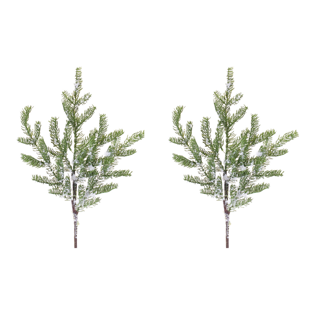 Pine Spray (Set of 2)