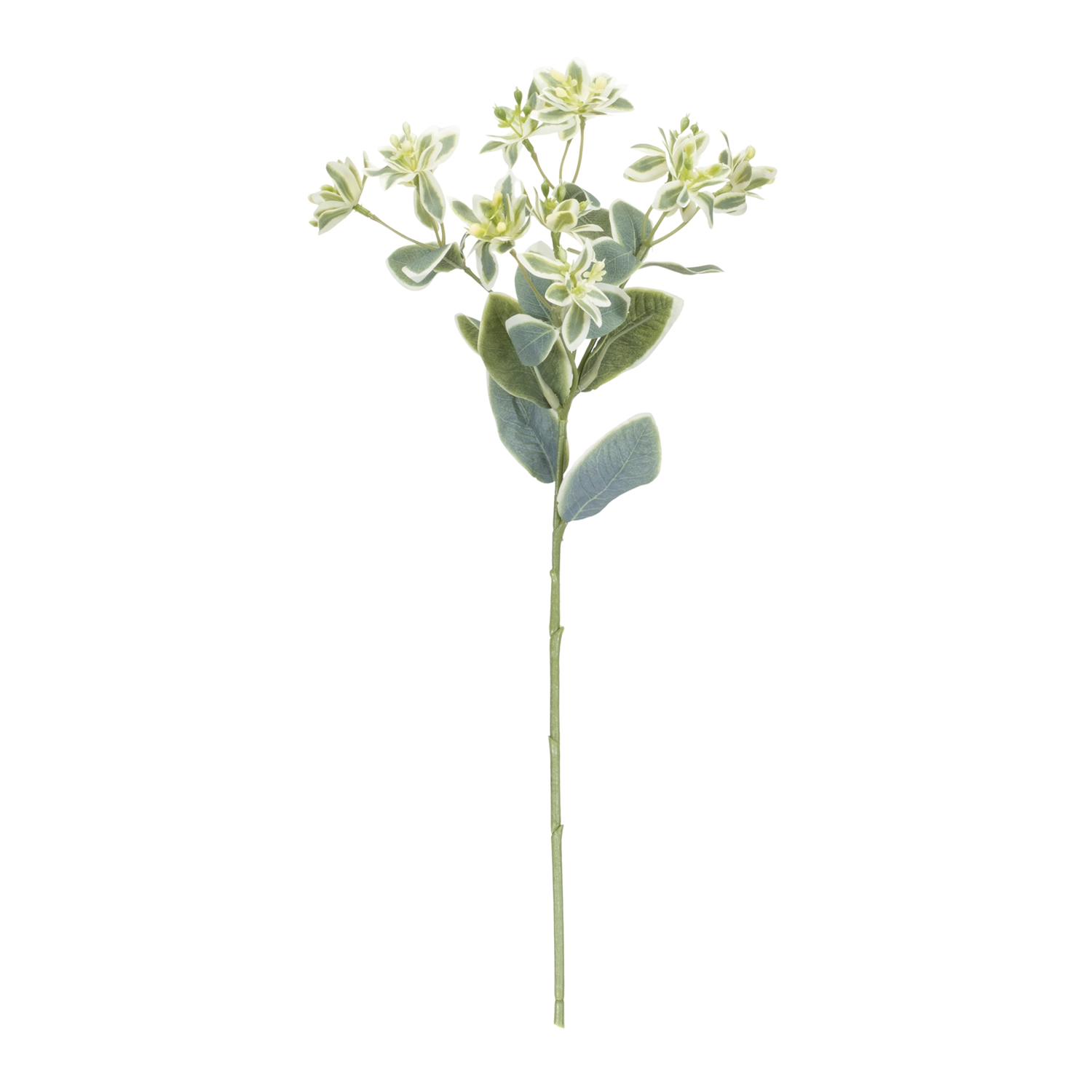 Euphorbia Spray (Set of 6) 18.5”H Polyester