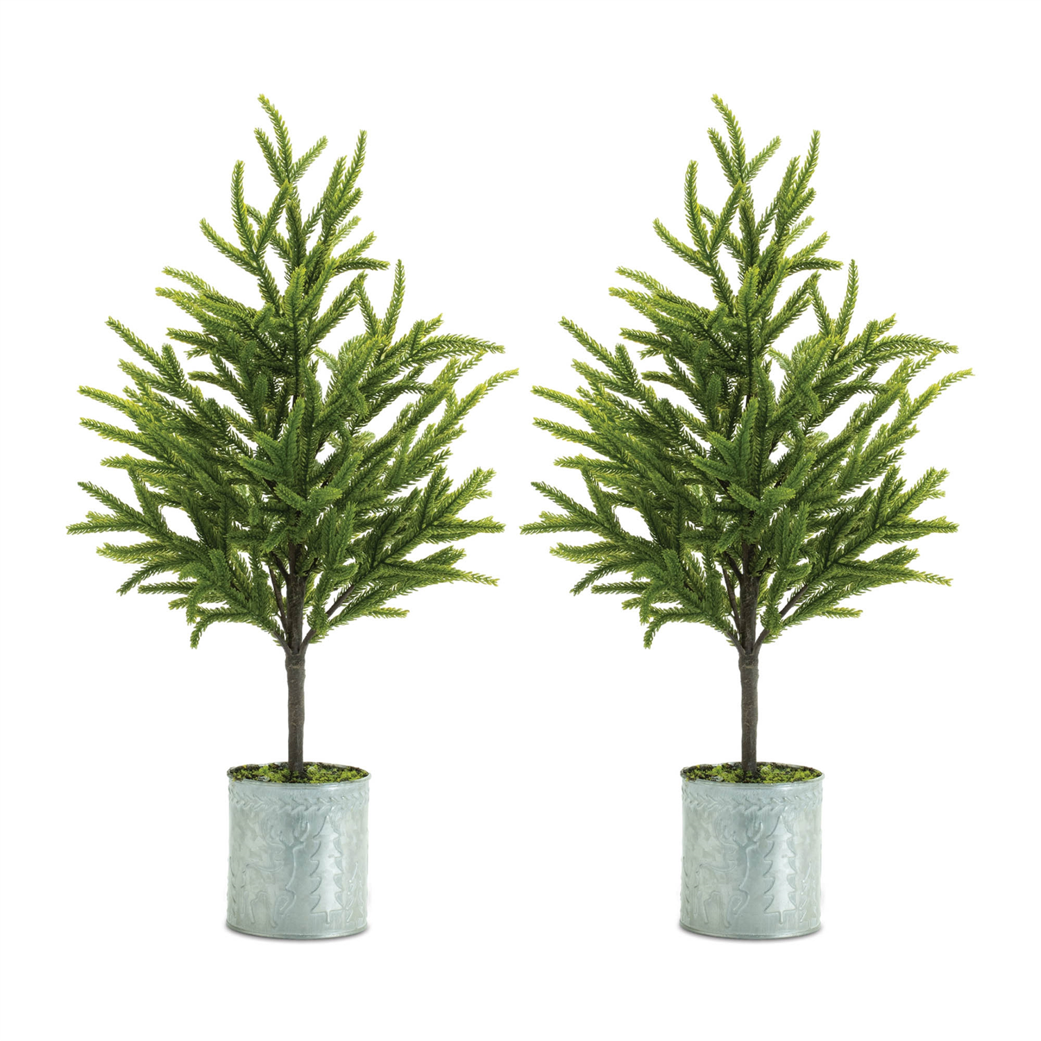 Potted Mini Pine Tree (Set of 2)
