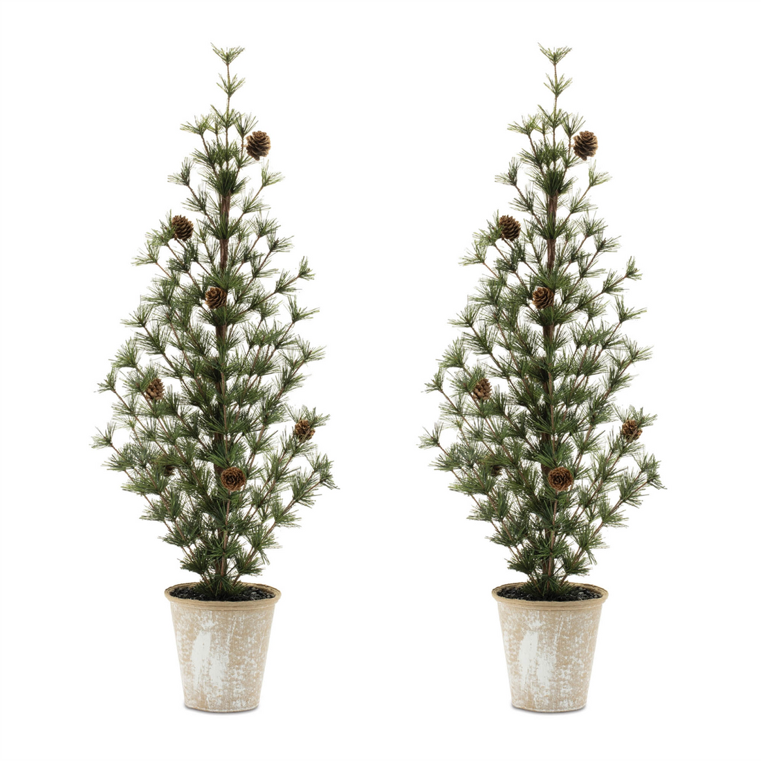 Potted Mini Pine Tree (Set of 2)