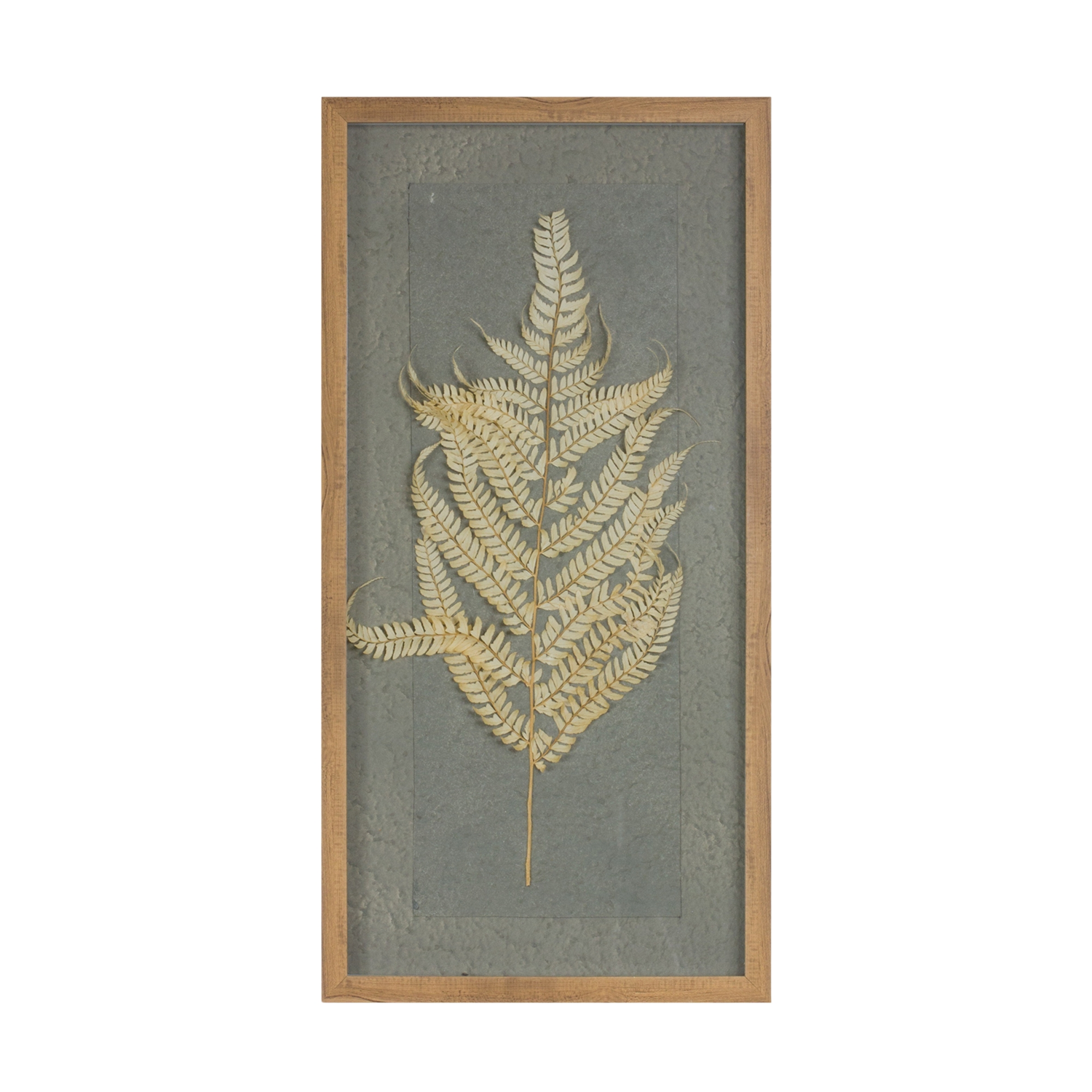 Framed Fern (Set of 2) 14"L x 27.5"H Wood/Paper