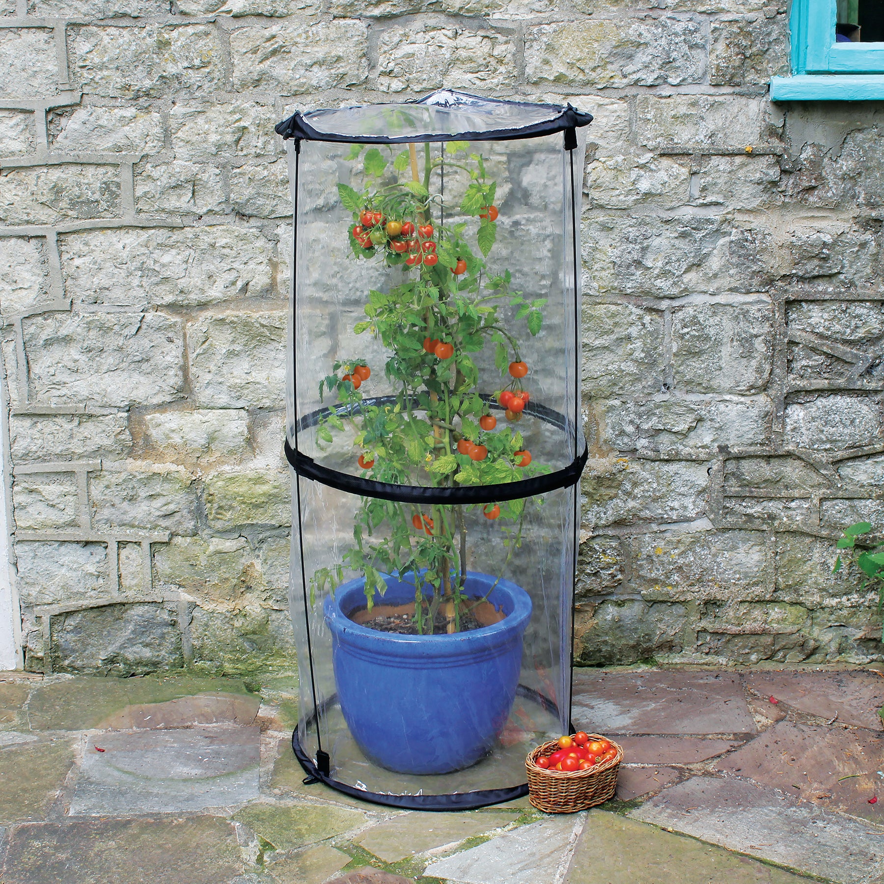 Twist Up Tomato Cloche