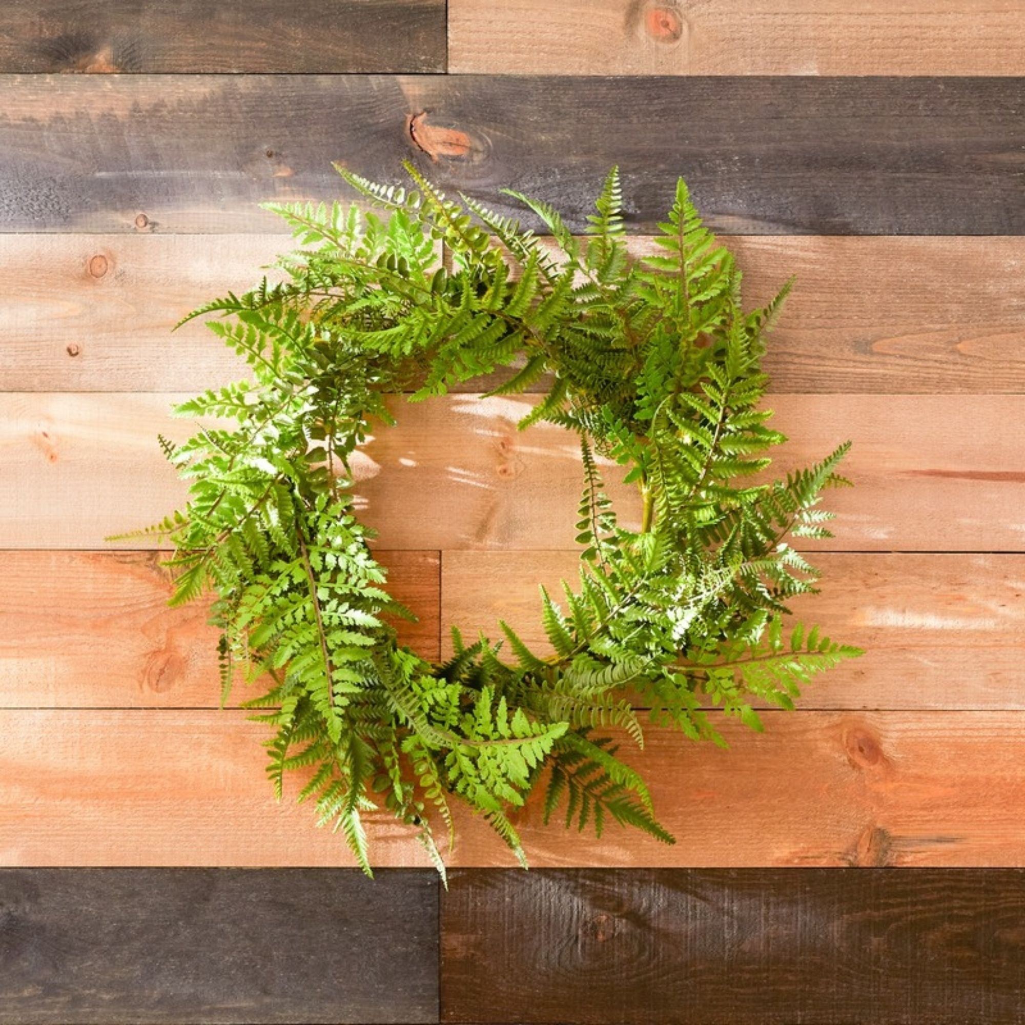 Fern Wreath 24"D Plastic