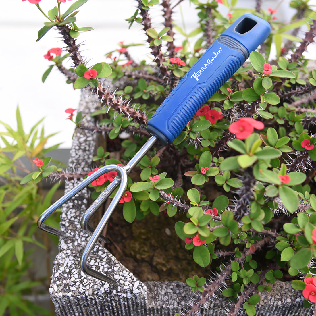 Stainless Steel Cultivator with TPR Handle