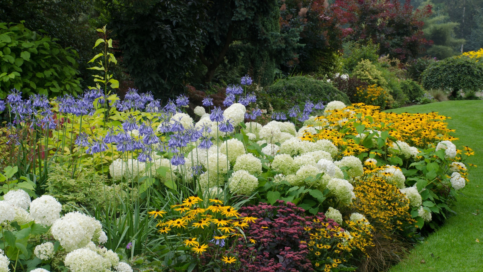 Perennials