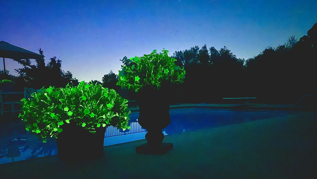 firefly petunias at glowing in a beautiful landscape 