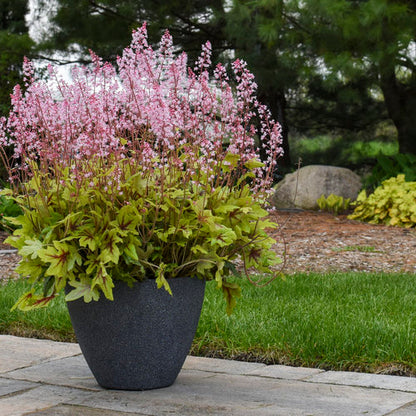 eye spy fun and games foamy bells providing the perfect pop of color in a pot.