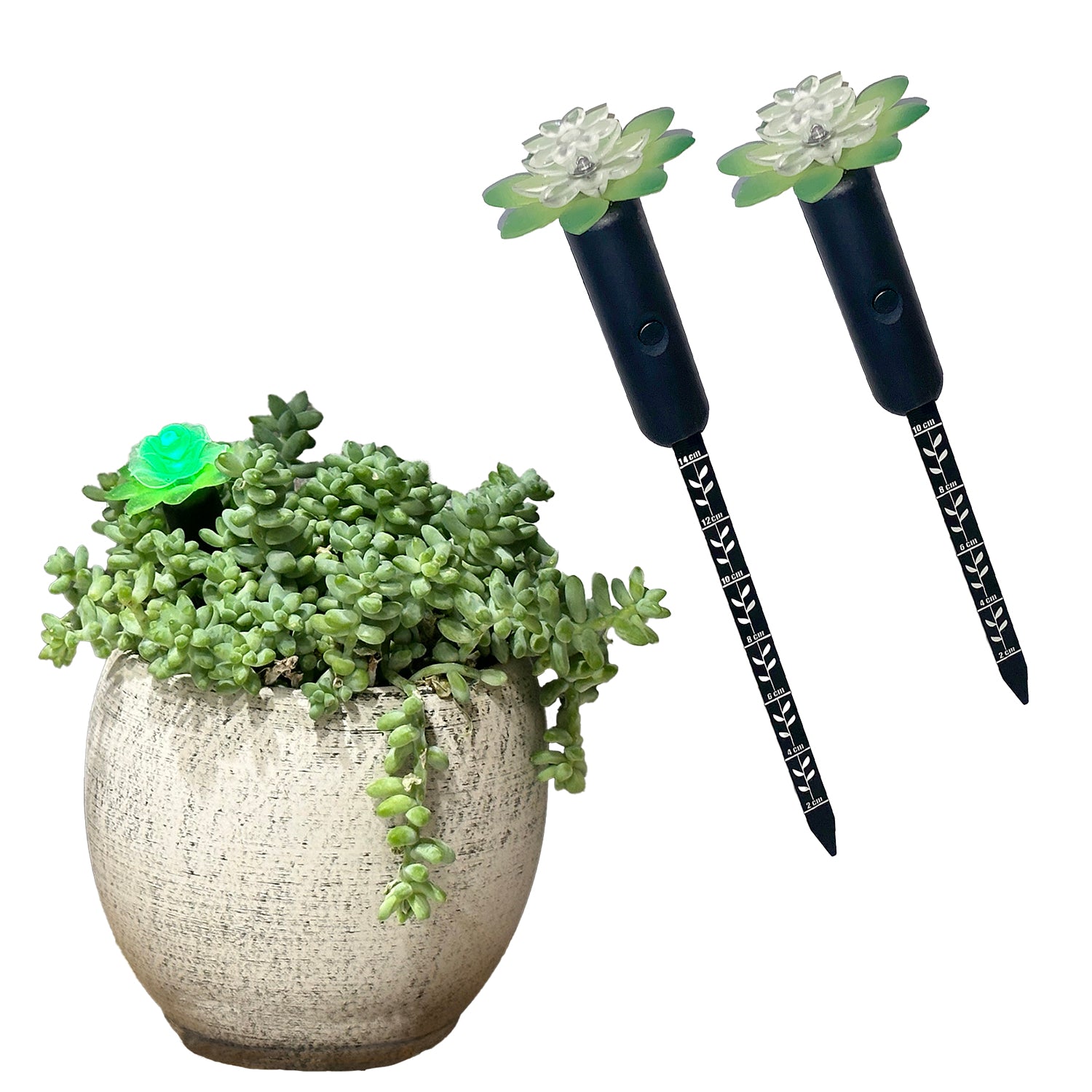 Plant Alarm Kit