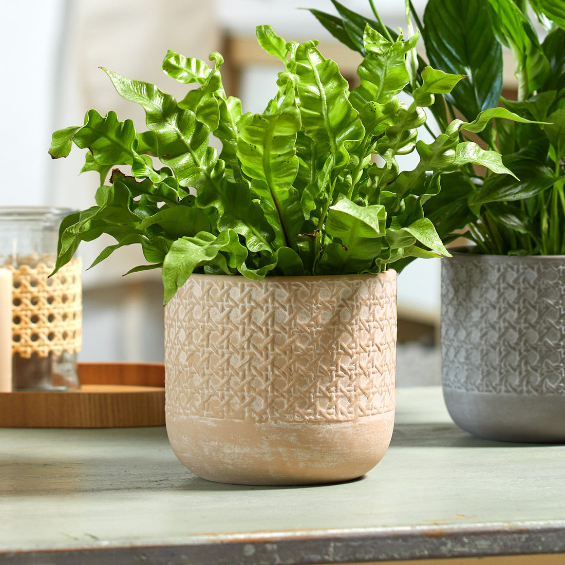 5.1&quot; Natural Beige Ceramic Vienna Pot