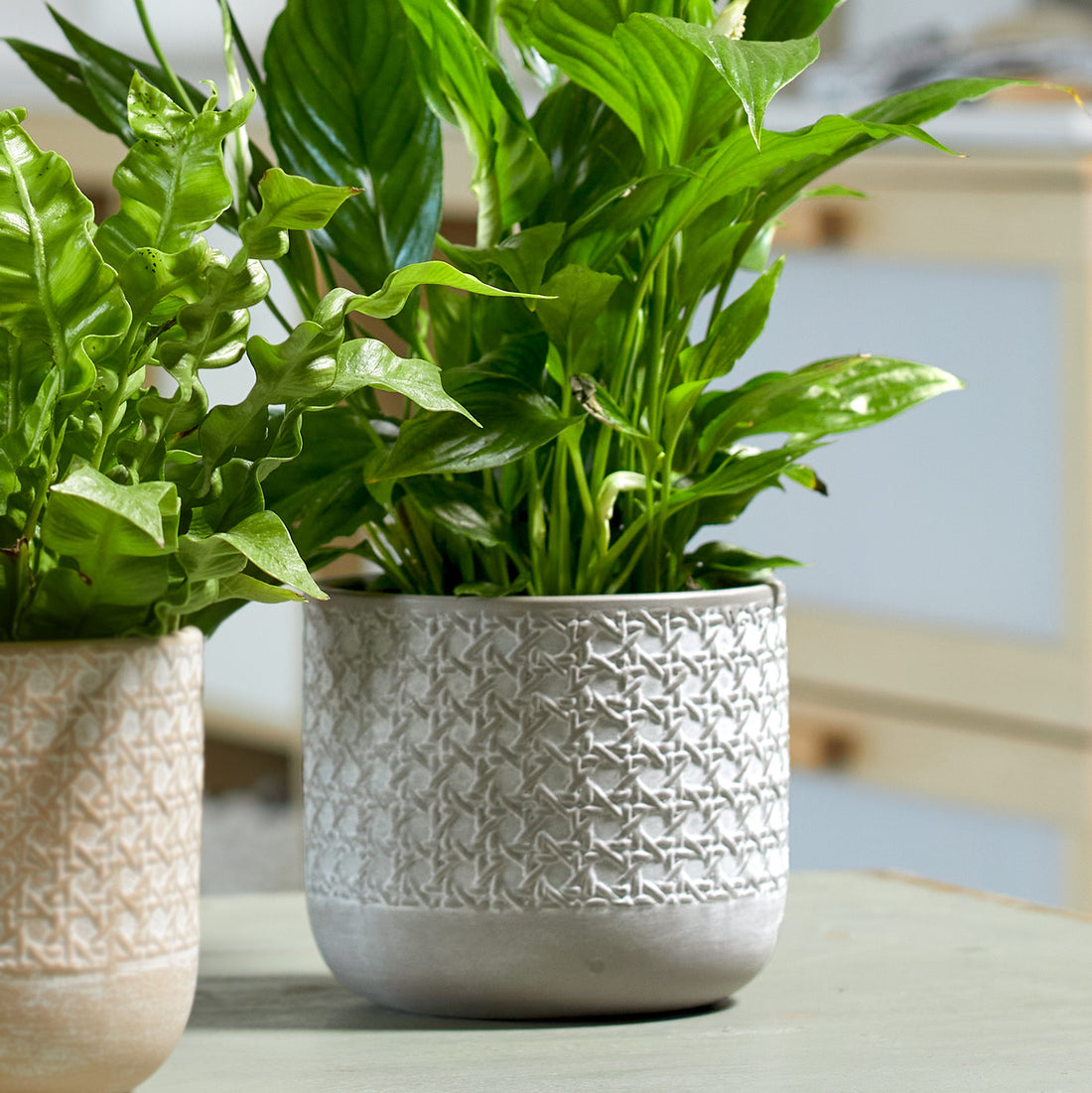 5.1&quot; Silk Gray Ceramic Vienna Pot