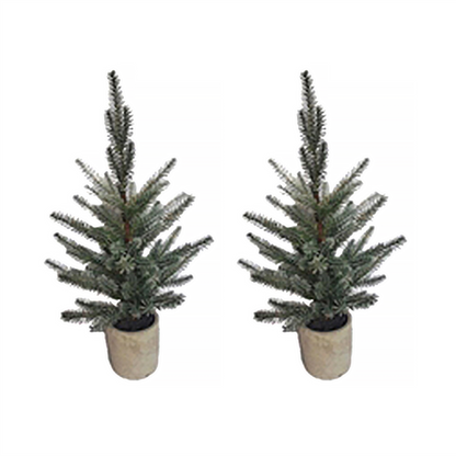 Pine Tree in Plastic Pot (Set of 2)