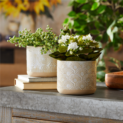 Container (Set of 2) 4.75"D x 4"H Porcelain