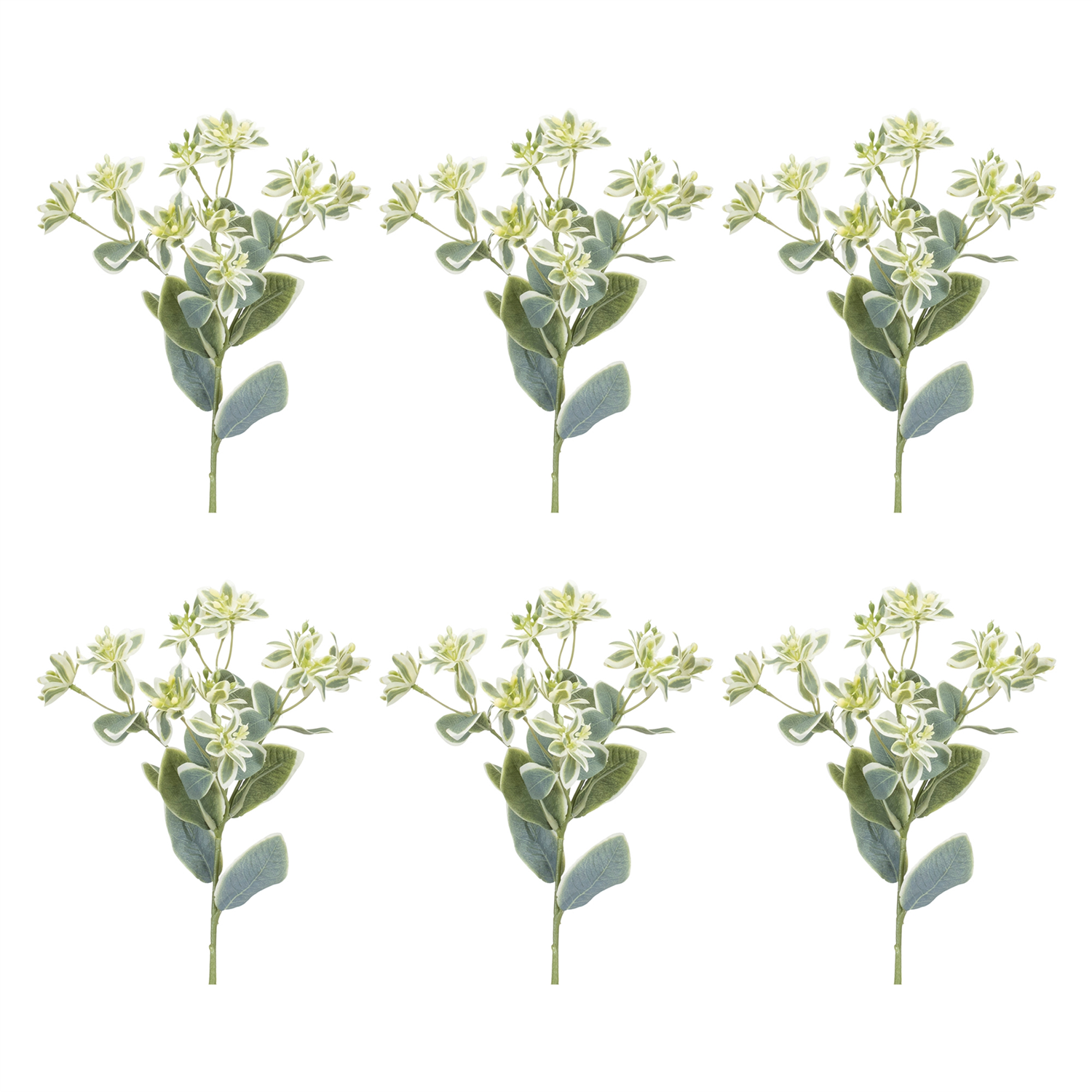 Euphorbia Spray (Set of 6) 18.5”H Polyester