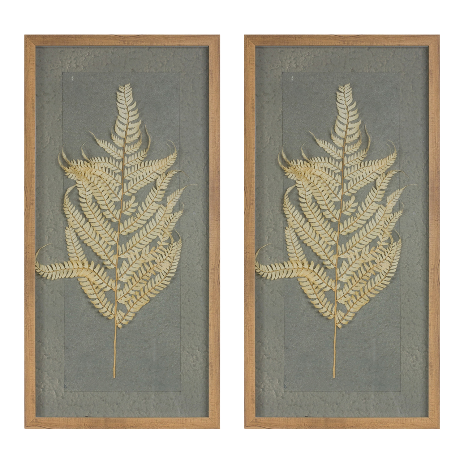 Framed Fern (Set of 2) 14"L x 27.5"H Wood/Paper