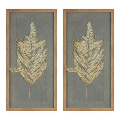 Framed Fern (Set of 2) 14"L x 27.5"H Wood/Paper