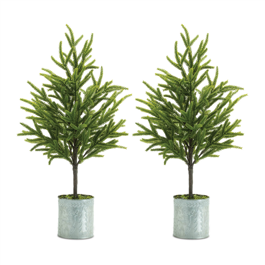 Potted Mini Pine Tree (Set of 2)