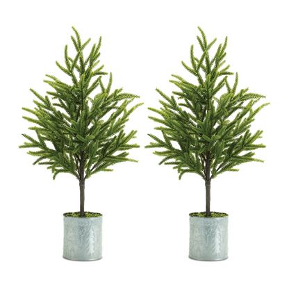 Potted Mini Pine Tree (Set of 2)