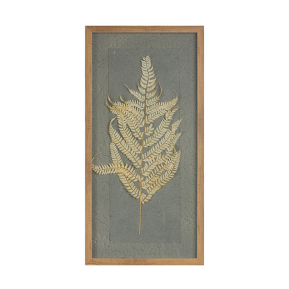 Framed Fern (Set of 2) 14"L x 27.5"H Wood/Paper