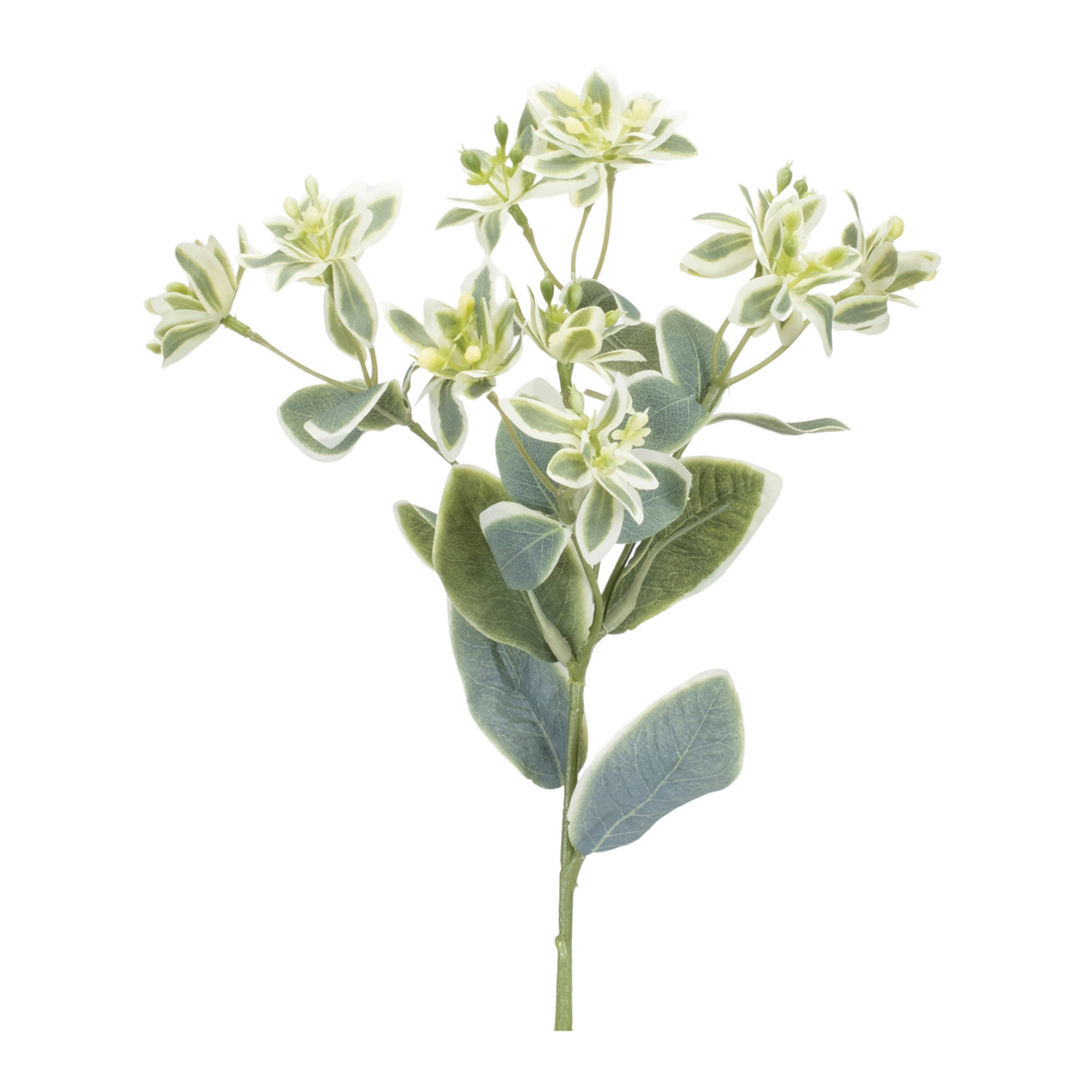 Euphorbia Spray (Set of 6) 18.5”H Polyester