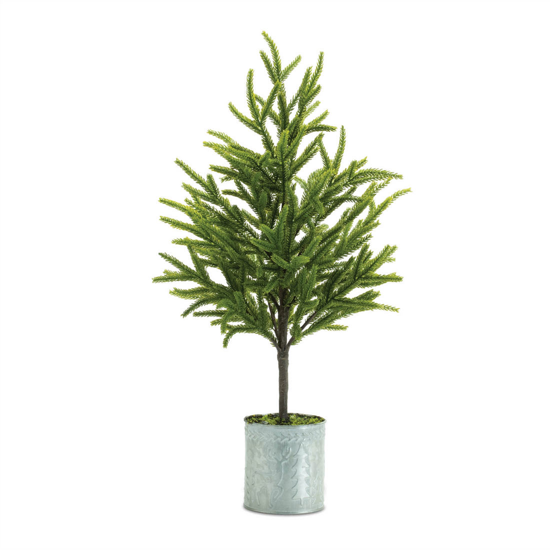 Potted Mini Pine Tree (Set of 2)
