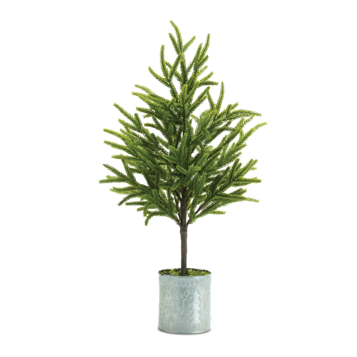 Potted Mini Pine Tree (Set of 2)