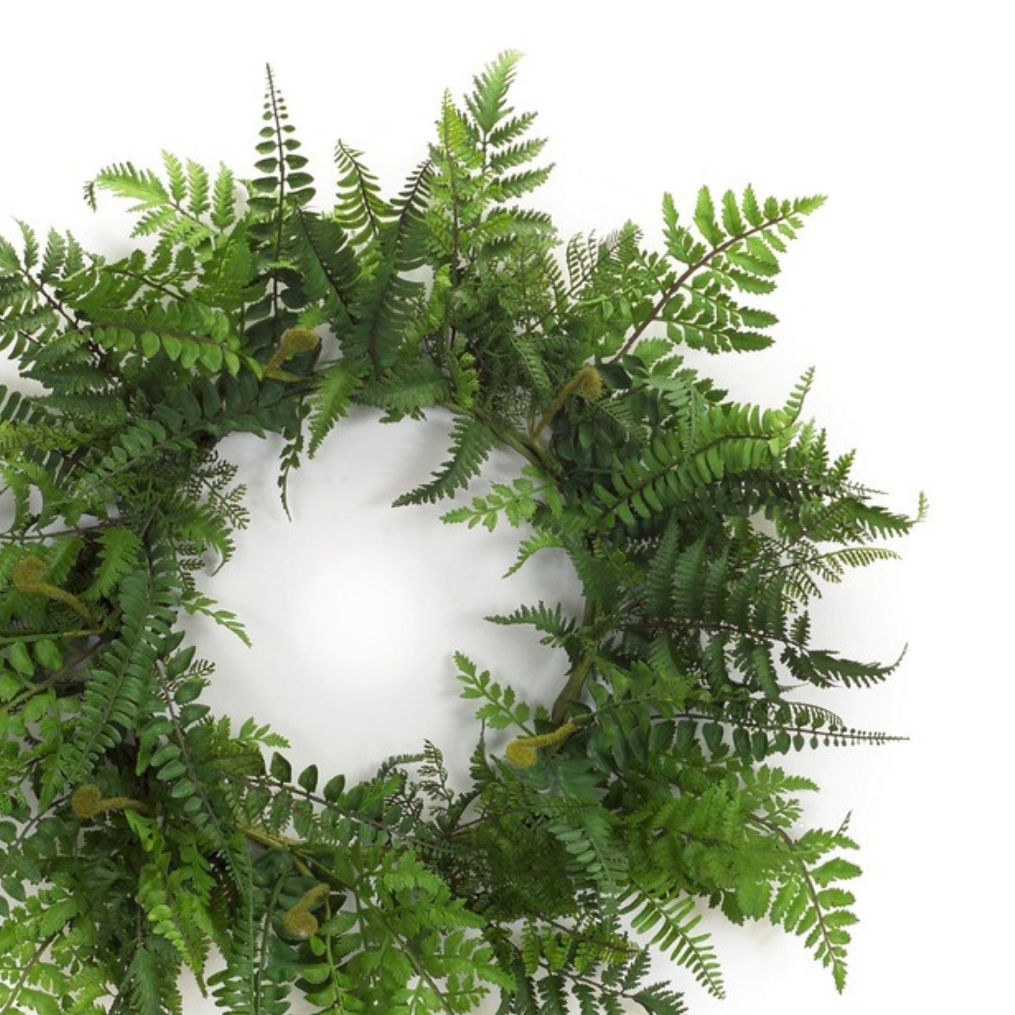 Fern Wreath 24"D Plastic